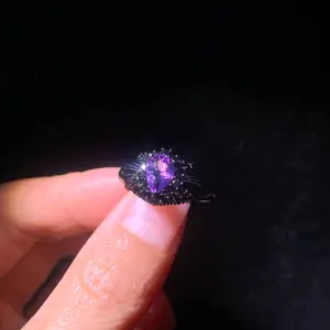 Black holder Amethyst s925 Silver Adjustable Ring