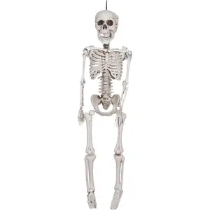 HANGING SKELETON DECORATION