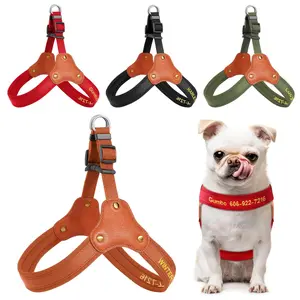 [Customized] Personalized Dog Harness, Can Be Embroidered Custom Pet Name