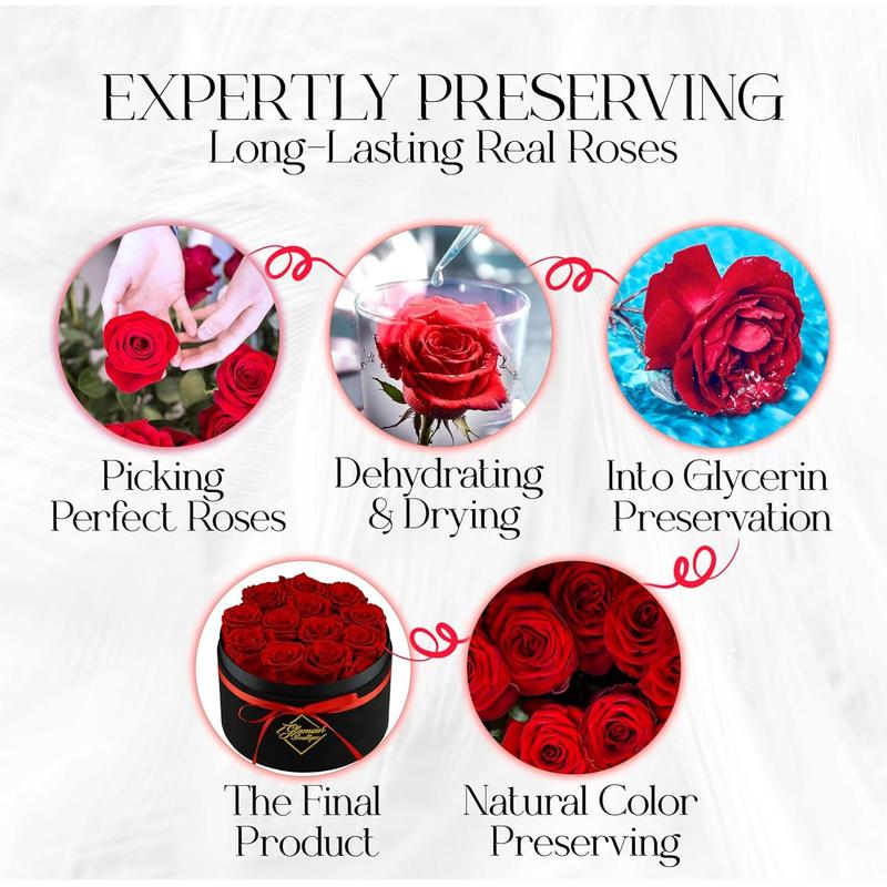 Eternal Prestige Velvet Black | 12 Red Roses Decor Box