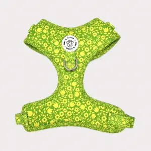 Garden Grove - Adjustable No Pull Harness