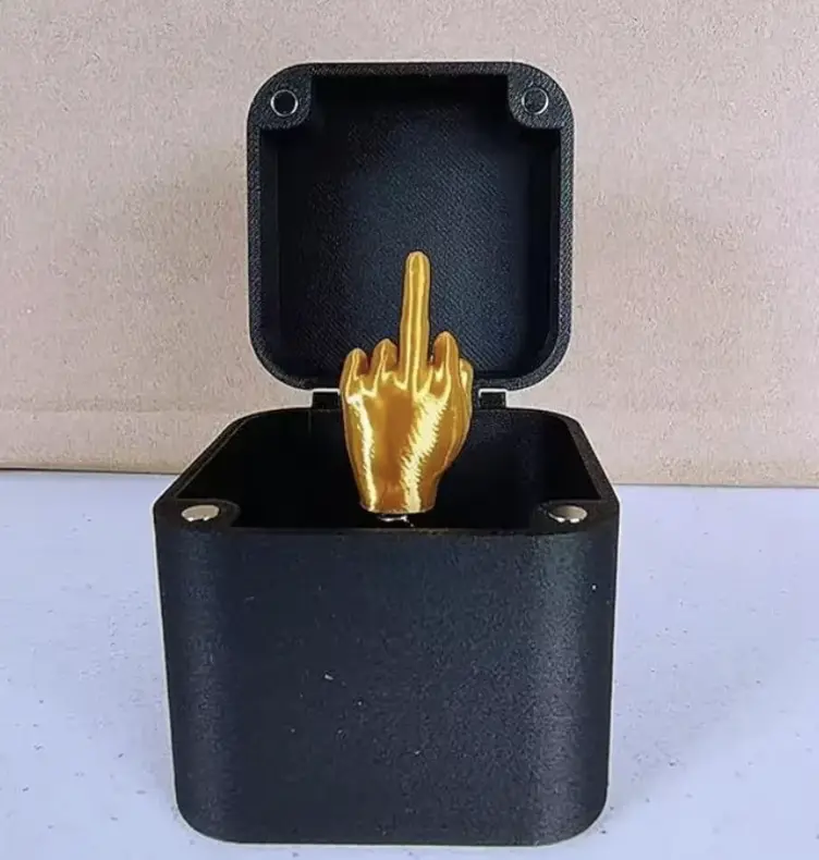 Christmas Interesting Prank Gift Middle Finger In Box