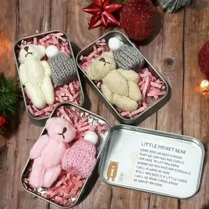 Plush Bear Iron Box Set with Plush Teddy Bear and Emotional Support Card, Cute Cartoon Design, Perfect Gift for Family and Friends
