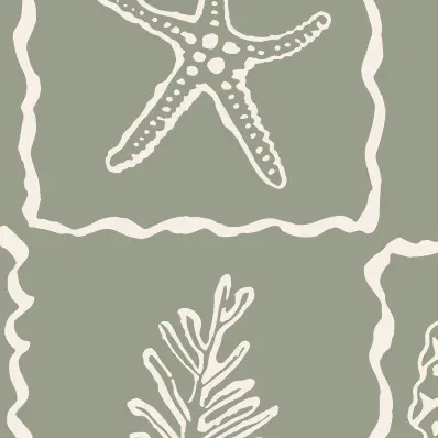 Coastal - Aerial Carrier