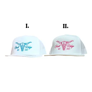 [Combo 2 Hats] White Snapback Classic 5 Panel Hat Bull Pink/Blue Stitching
