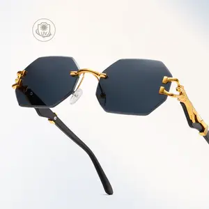 Trendy Leopard Head Frameless Sunglasses for Women Men, Irregular Polygon Y2K Sun Glasses, Retro Street Style Luxury Fashion UV400 Eyewear