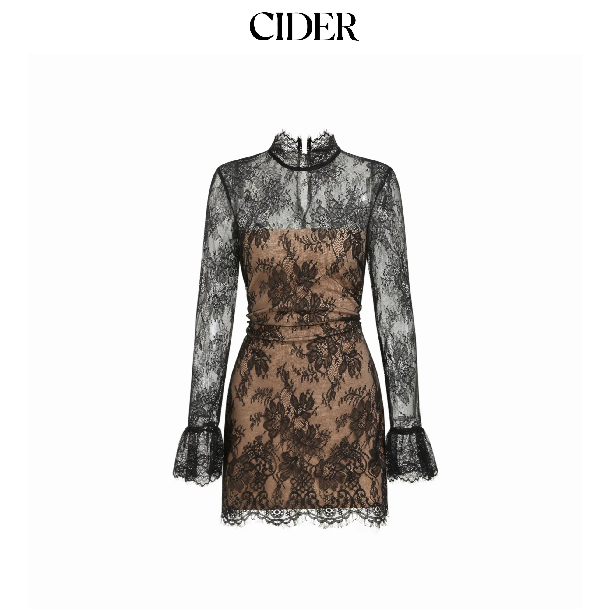 Cider Lace Stand Collar Long Sleeve Straight Mini Dress