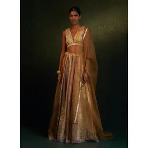 Midas multi-panelled lehenga set