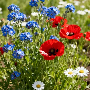 800 Mixed Wildflower Seeds – Pollinator-Friendly Blend for Bees, Butterflies & Birds (Seeds Only) Perennial Large Areas