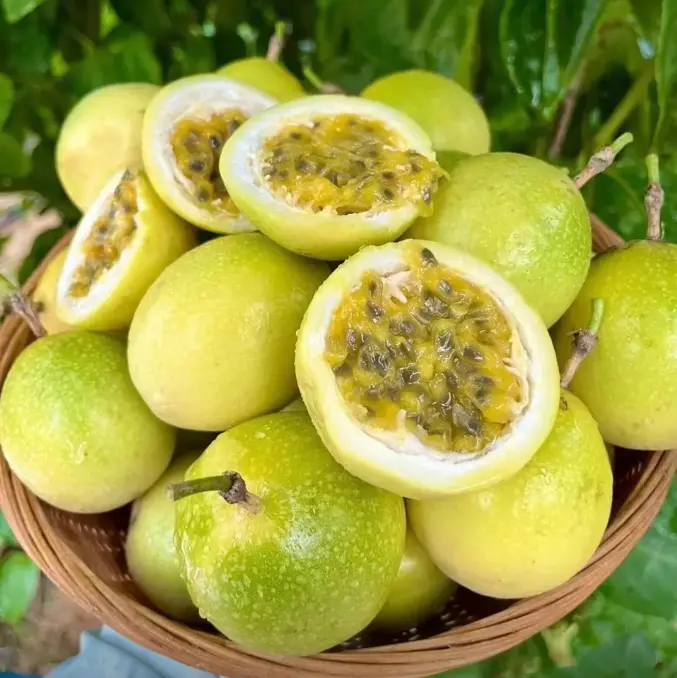 Passion Fruit Seeds, Tropical Fruit Seeds for Planting, Fast Growing Vine Plant for Garden and Balcony