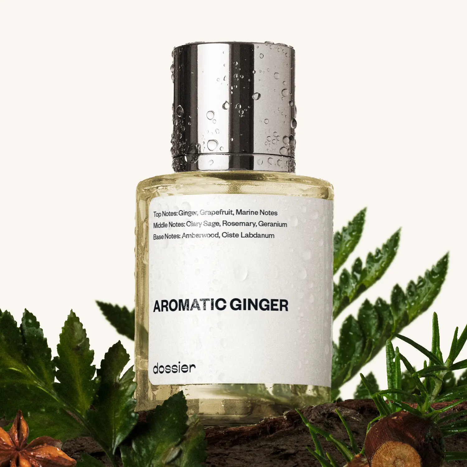 Aromatic Ginger, Dossier, Men Perfume, Eau de Parfum, 50ml, Ginger, Grapefruit, Marine notes, Sage, Rosemary, Amberwood Aromatic Ginger, Dossier, Men Perfume, Eau de Parfum, 50ml, Ginger, Grapefruit, Marine notes, Sage, Rosemary, Amberwood