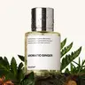 Aromatic Ginger, Dossier, Men Perfume, Eau de Parfum, 50ml, Ginger, Grapefruit, Marine notes, Sage, Rosemary, Amberwood