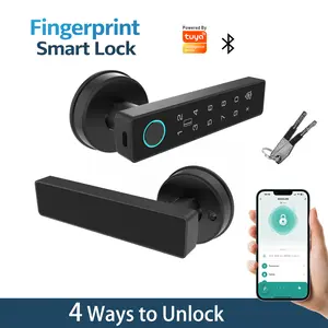 Smart Fingerprint Door Knob with Lock - Keyless Entry Handle, App Control, Password & IC Card Access, 24-Month Max Battery Life garage