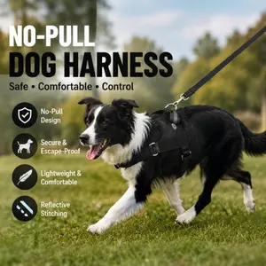 Say Goodbye to Choking! Chest Harness for Medium to Large Dogs-Anti-Pulling and Shock-Absorbing Leashing, All in One.