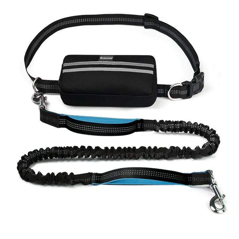 Geoorood Hands Free Dog Leash with Zipper Pouch, Dual Padded Handles, Bungee for Small Medium Dogs, 2 Heavy-Duty Clips & 2 Handles #3 Portable dogaccessories