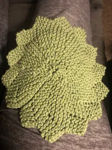 Dishcloth - Green Knitted Item as shown in the Picture