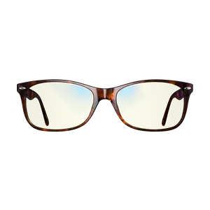 Classic Focus Swannies XL - Last Chance