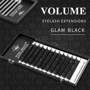 Individual Eyelash Extension B/C/CC/D/DD Faux Mink Cilias Soft Eye Lash Extension 3D Russian Volume Lashes Makeup