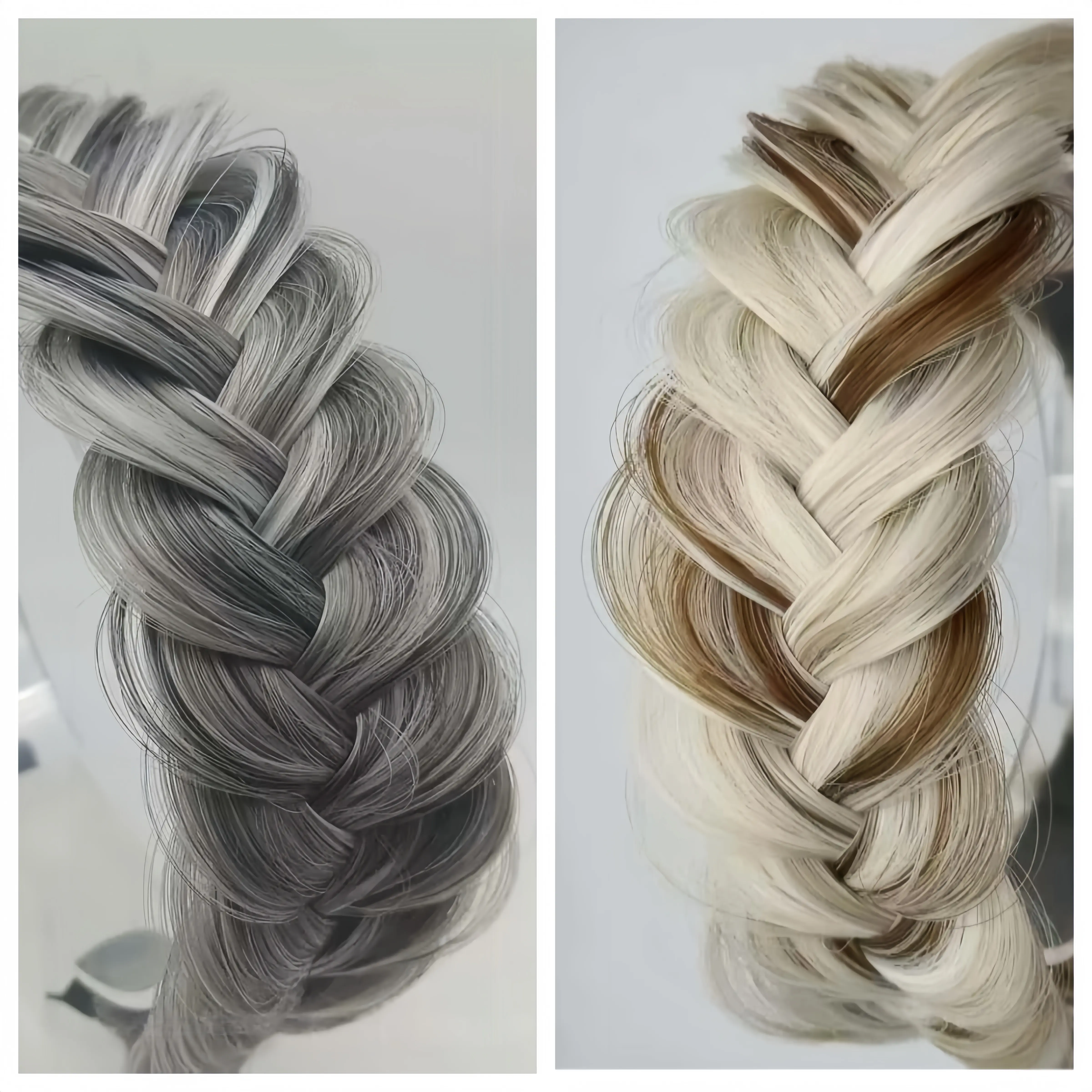 Gray and White brown