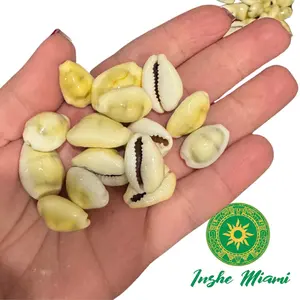 Owo Eyo Mano de Caracol Cerrado