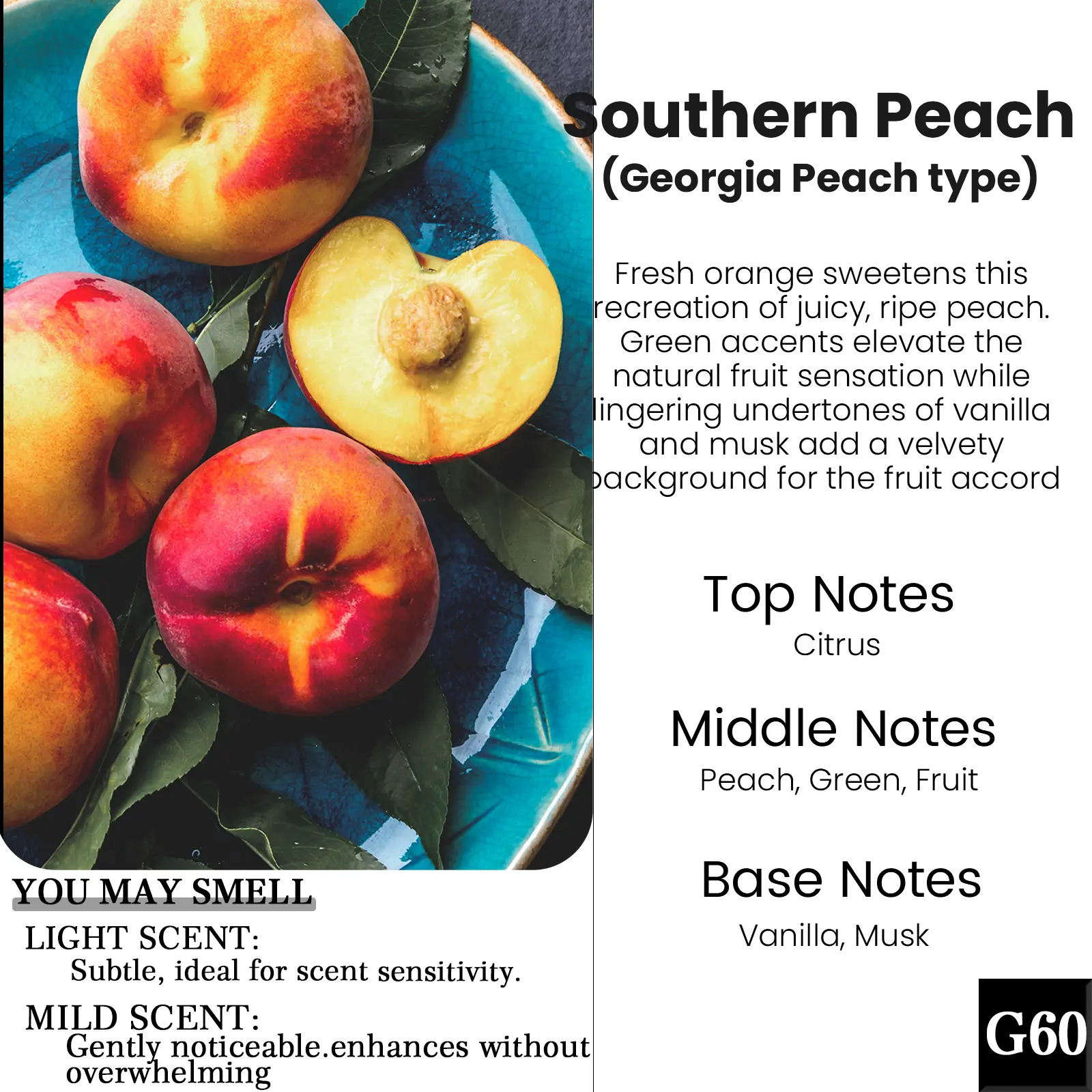 G60: Southern Peach（Georgia Peach Type）