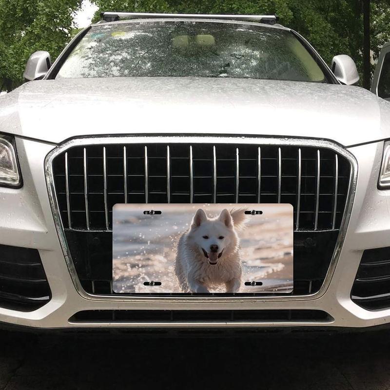 Running on The Beach Universal Aluminum License Plate Frames for Women - Personalized License Plate Cover with 4 Holes, Rustproof, 6x12 Inches