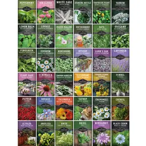 Medicinal Herb Seeds Starter Pack – Includes 28,000+ Non-GMO Heirloom Seeds for Growing Essential Healing Plants
