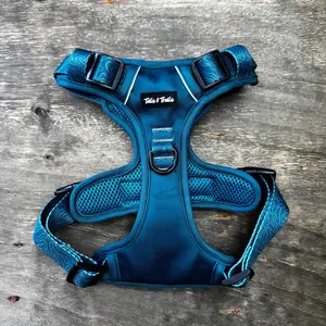 Evergreen Adventure Harness