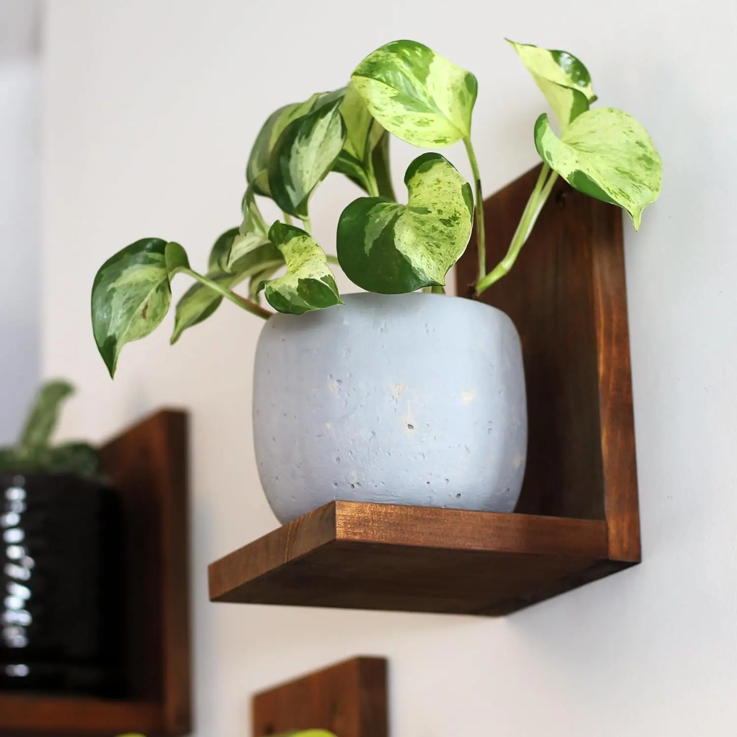 Indoor  Wall Gallery Shelf Kit | Midcentury Modern Wooden Shelves | Wall Mounted  Ledge | L Shaped Floating Shelves | Solid  Wall Planter Shelf | 3 Pack (Woodland Brown)