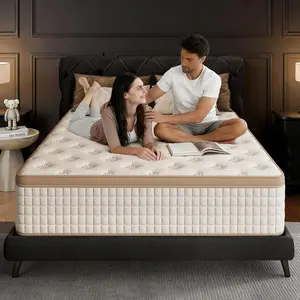 Queen Hybrid Gel Memory Foam Mattress