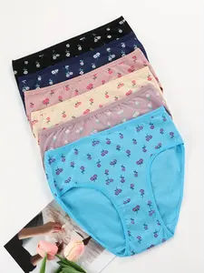 Women's Print Panty, Soft Comfy Breathable Seamless Knicker for Daily Wear, Women's Underwear, 6PCS