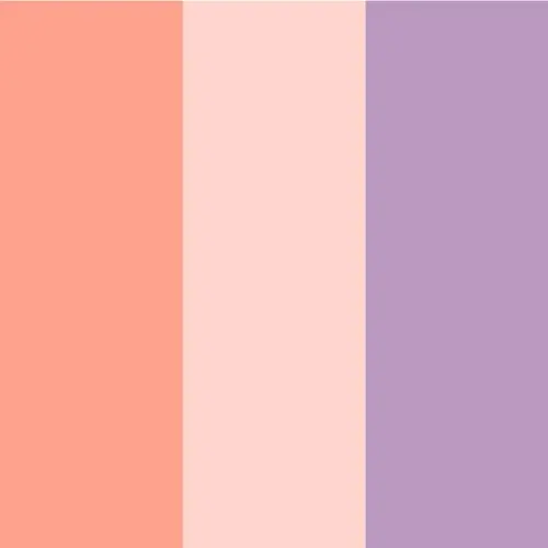 Rose+Lt Pink+Lt Purple