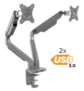 Dual Monitor Desk Mount w/ USB Ports