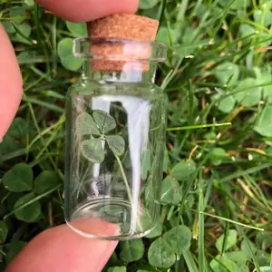 Hand picked pressed 4 leaf clovers in little cork bottle