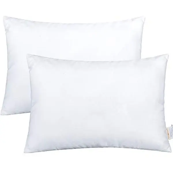 NTBAY 2 Pack Cotton Down Alternative 13x18 Pillows, Machine Washable - Soft and Breathable Travel Small Pillows for Sleeping, Ideal for Daycare, Crib, Cot