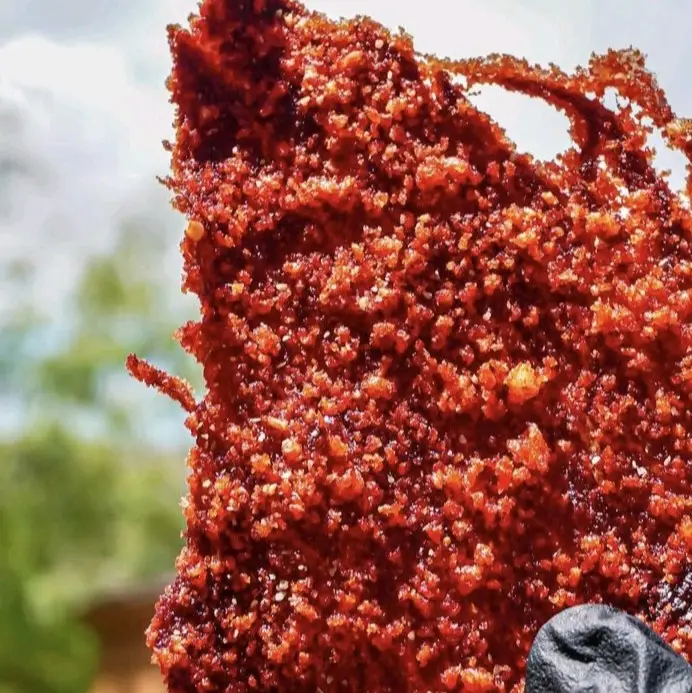 Red Flamin’ Carne Seca/Dehydrated Jerky Moo Rico