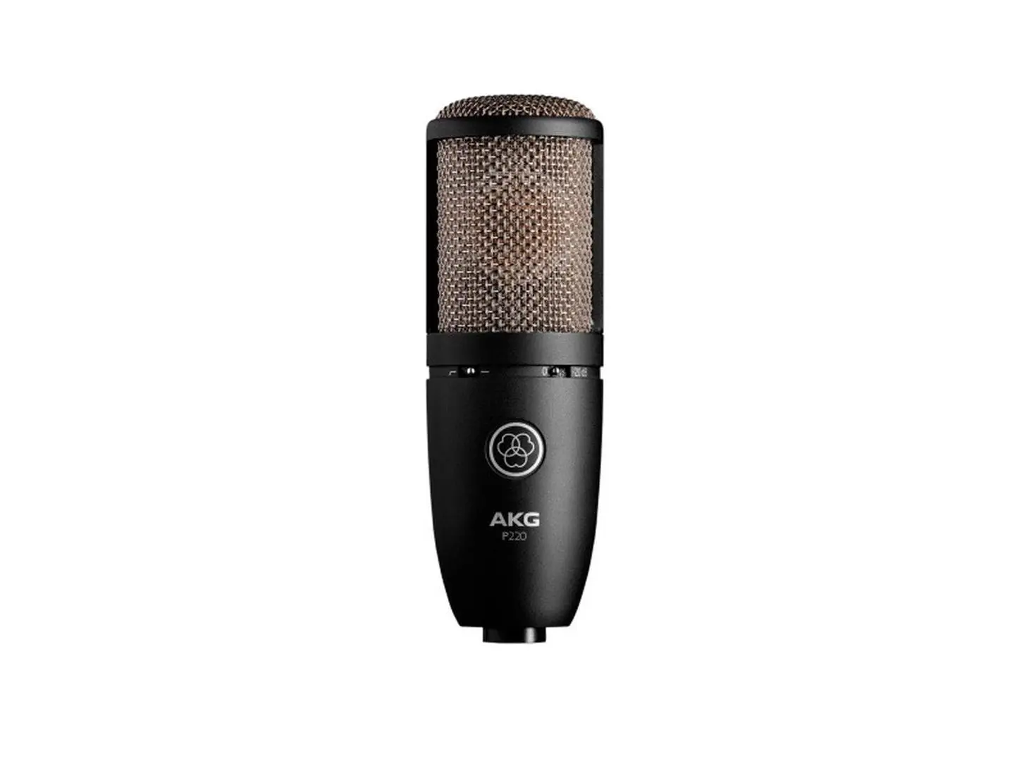 AKG Acoustics 3101H00420 P220 High-Performance Large Diaphragm True Condenser Microphone