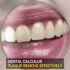 Multi-function & Multi-Speed Electric Toothbrush