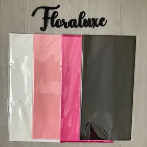 Frosted Outline Korean Paper