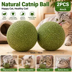 2PCS   3.94 Inch Huge Catnip Balls for Indoor Cats, Giant Cat Toys for Kittens, Jumbo Catnip Balls, Big Teething Chew Toys, Kitty Teeth Cleaning Lick Dental Toys, Natural Catnip Ball Set