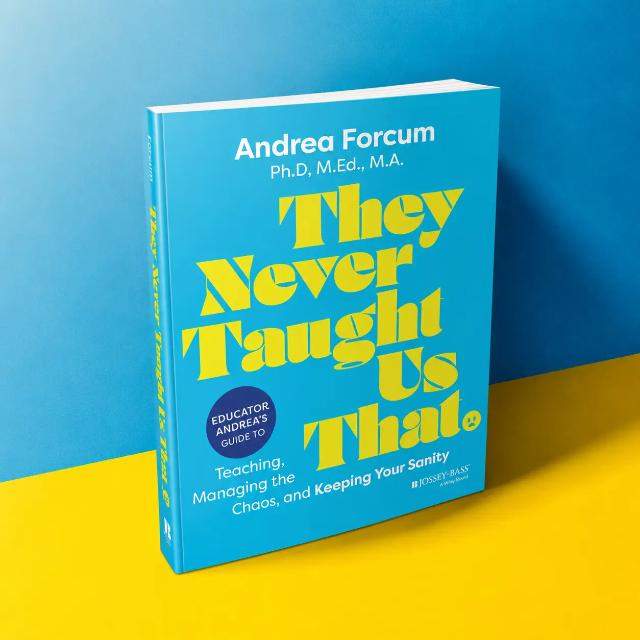 They Never Taught Us That: Educator Andrea's Guide to Teaching, Managing the Chaos, and Keeping Your Sanity [Paperback Book]