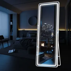 Futurelove Light Adjustable LED Full-Length Mirror with Smart Touch Button, Wall Mounted Dressing Standing Mirror for Makeup, Stand No Assembly Required, For Living Room Bedroom and Clothing Store Salon, 64"*21"