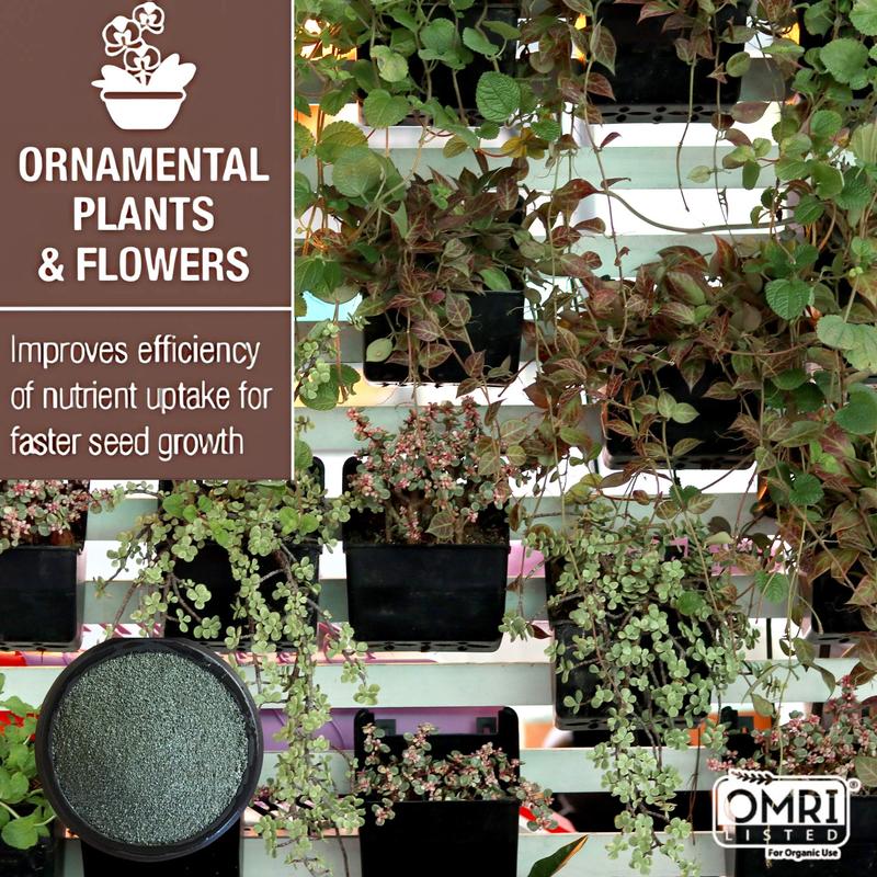 Zeolite Mineral Lava Rocks (Granular)