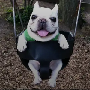 Product Review of BASED Hair Texture Powder | Instant Volume & Texture | Lightweight, Matte Finish | Simple, Effective, BASED. from g**1