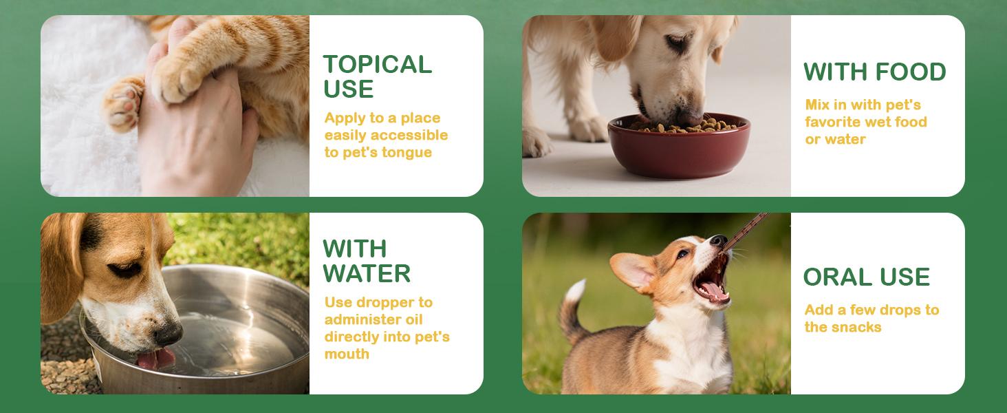 Petrivium Natural Intestinal Defense for Cats & Dogs Herbal Cleanse with Probiotic Triple Action Probiotics Supplement Drops for Gut Health Digestion Broad Spectrum Formula for All Ages and Breeds 2 Oz Petrivium Natural Intestinal Defense for Cats & Dogs Herbal Cleanse with Probiotic Triple Action Probiotics Supplement Drops for Gut Health Digestion Broad Spectrum Formula for All Ages and Breeds 2 Oz