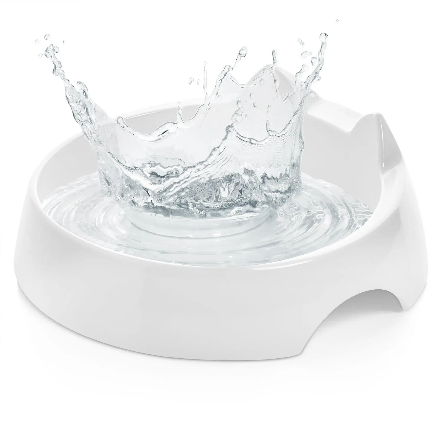 Cat Water Bowl