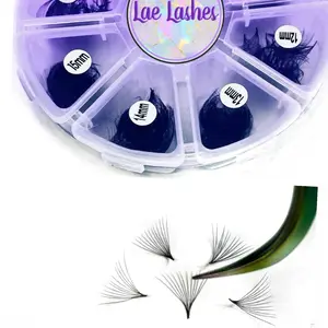 12D Mixed Loose Fans 1,000 Fans/Box