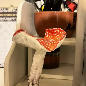 Fly Agaric Mushroom Decor