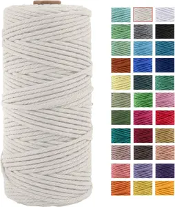 3mm x 109Yards Macrame Cord Thick  Twisted Rope for Soft  Wall Hangings & Decorative Projects - Biodegradable & Odor-Free