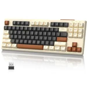 ZIYOU LANG M87 75% Wireless Gaming Keyboard Mechanical Feel Silent Rainbow Backlit Bluetooth/2.4Ghz PBT Keycaps Rechargeable 4000mAH Battery Ergonomic for MAC/Win/PC